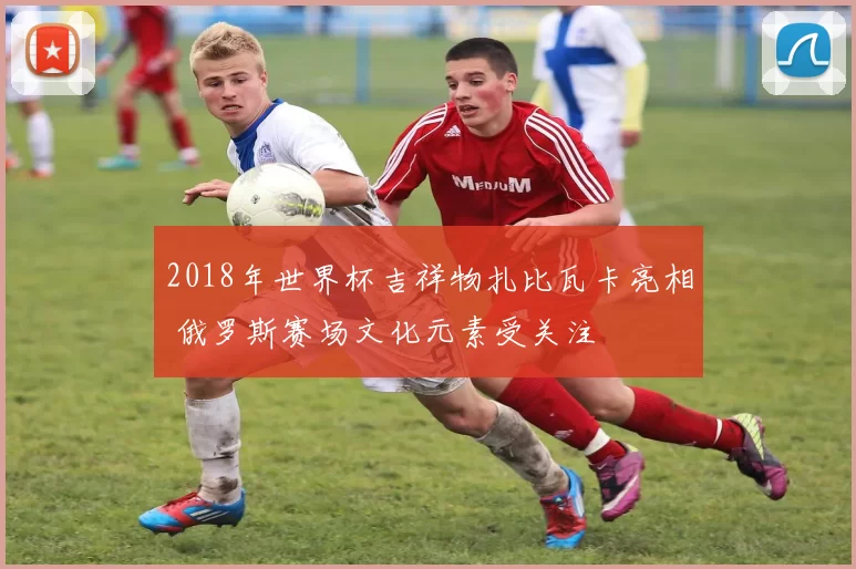 2018年世界杯吉祥物扎比瓦卡亮相 俄罗斯赛场文化元素受关注